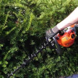 Echo Hedgetrimmers