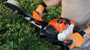 Read more about the article Hedge Trimming Tips