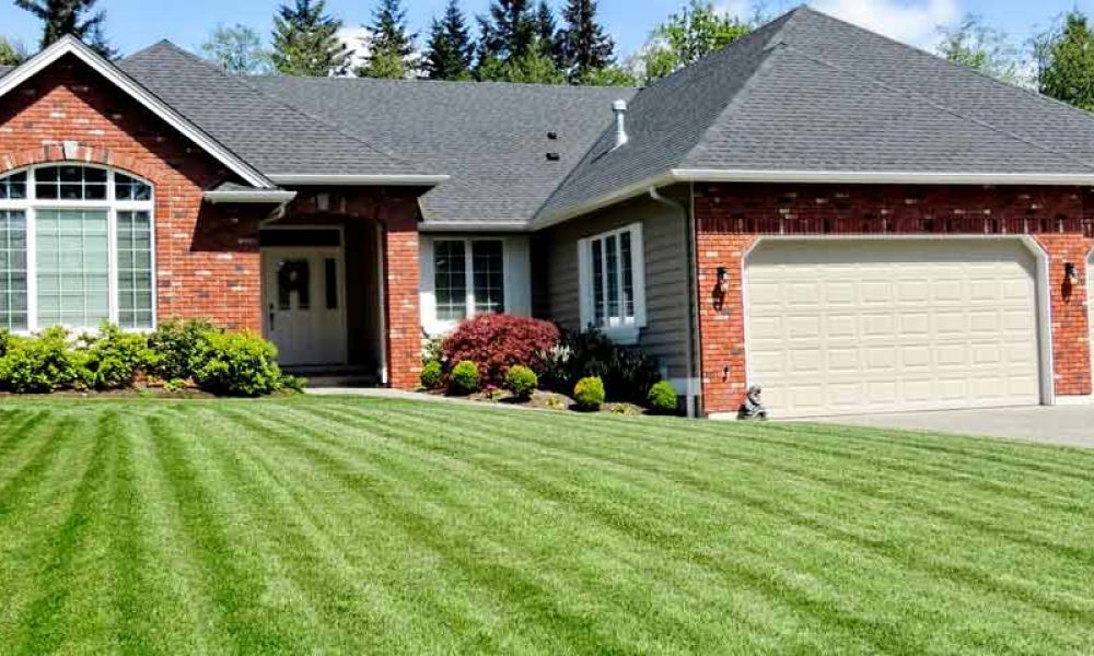 10 Tips for a Better Lawn