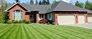 Read more about the article 10 Tips for a Better Lawn