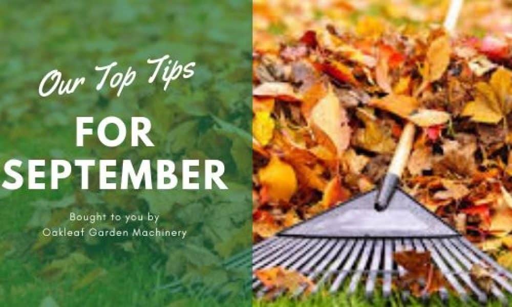 Our September Top 10 Gardening Tips.