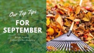 Read more about the article Our September Top 10 Gardening Tips.