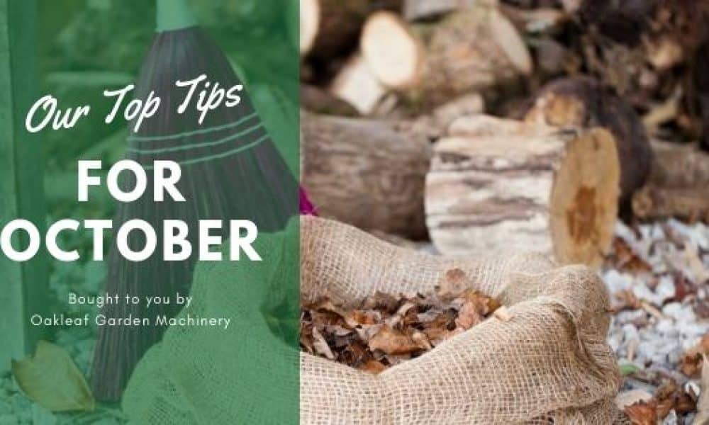 10 Top Tips for October