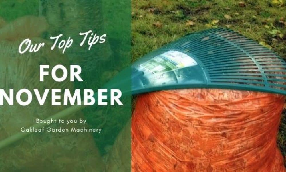 Top Tips for November