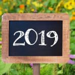 New Year …. New idea’s and perhaps a New Mower?