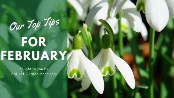 Our Top Tips for February