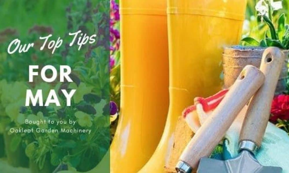 Our Top Tips for May