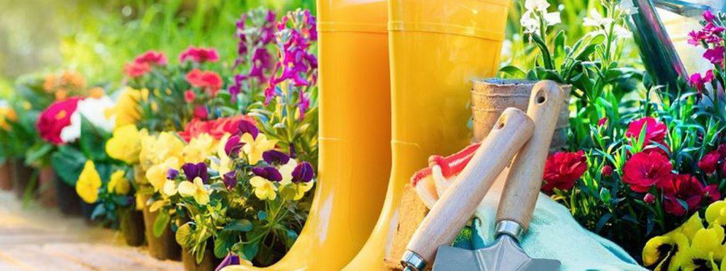 May gardening tips from Oakleaf Garden Machinery