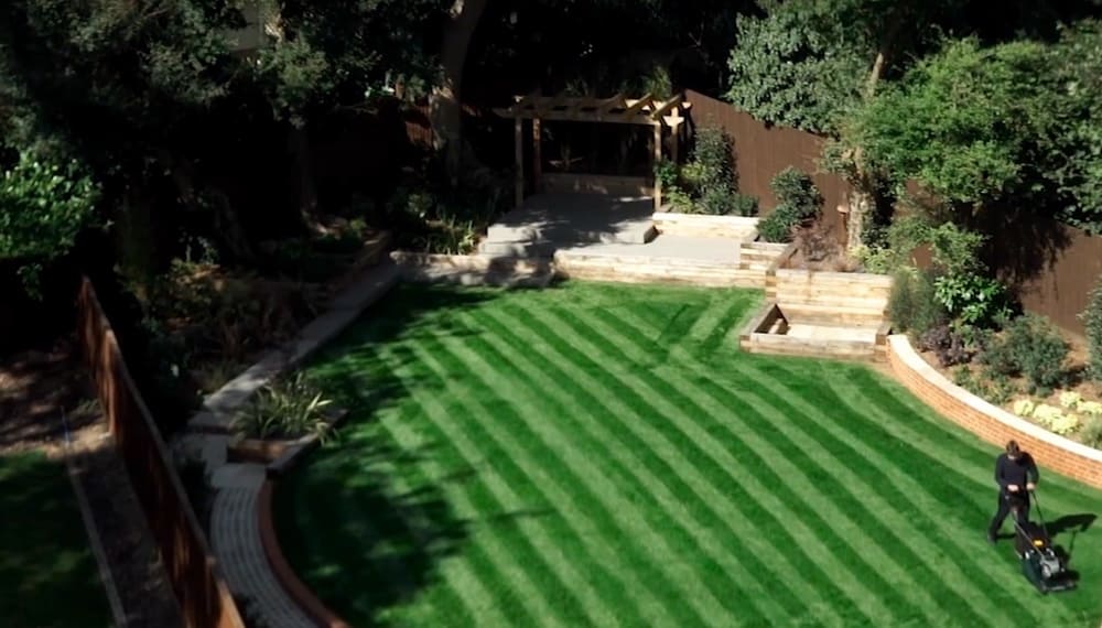 how-to-stripe-a-lawn-main image
