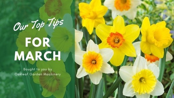 Our Top Tips for March