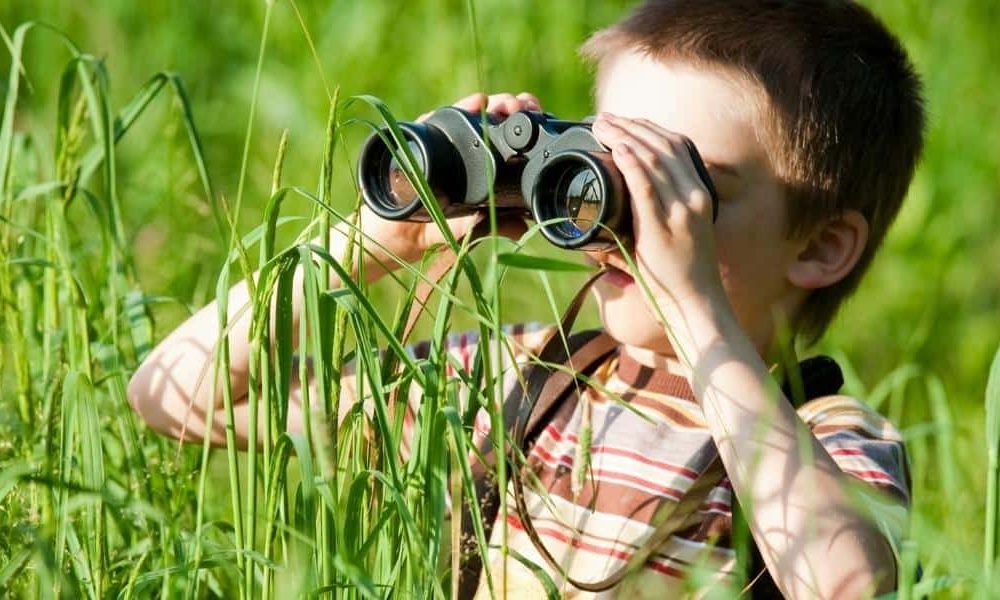 Are you looking through long grass in your garden?