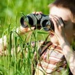 Are you looking through long grass in your garden?