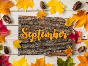Read more about the article September Gardening Jobs